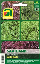 Schnittsalate "Bunte Salate" - Saatband:   Die Packung enthält folgende Sorten: 20% Grüner Eishäuptel, 20% Lollo Bionda