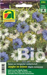 Jungfer im Grünen BIO "Blau & Weiß":   Eine einjährige Sommerblume mit blauen und weißen Blüten und dekorativen Sam