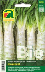 Spargelsalat BIO "Chinesische Keule":   Aisatische Salat-Spezialität mit langen, fleischigen Stängeln.