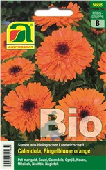 Ringelblume BIO  "Orange":   Liebt sonnige Lagen und gedeiht auf jedem guten Gartenboden. Die Blüten sind