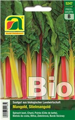 Mangold BIO:   Ein gewellter Stielmangold mit grün bis bronzefarbenen Blättern und hat durc