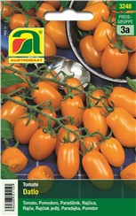 Tomate "Datlo":   Dattelförmige, gelb-orange Früchte. Durchschnittliches Fruchtgewicht ca. 15-