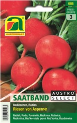 Radieschen "Riesen von Aspern®" - Saatband:   Für Treib- und Freilandkultur, auch geeignet für den Anbau unter Vlies.