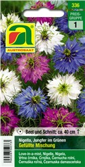 Jungfer im Grünen "Gefüllte Mischung":   Eine einjährige Sommerblume mit verschiedenfarbigen Blüten und dekorativen S