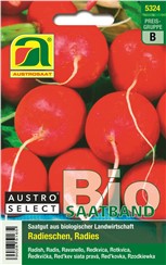 Radieschen BIO "Wiener Rotes Treib®"-Saatband:   Scharlachrote, große, runde Knollen mit hervorragender Qualität.