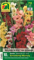 Gladiolen "Schmetterlings-Mischung":   Mischung aus Gladiolensorten mit mehrfarbigen Blüten.