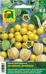 Inkapflaume "Andenbeere":   Südamerikanische Nutzpflanze mit süßsäuerlichen, vitaminreichen Früchten. Di