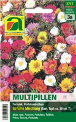 Portulak "Gefüllte Mischung":   Multipill - für leichte Aussaat und buschige Pflanzen. Eine Pille vereint me