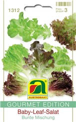 Baby-Leaf-Salat "Bunte Mischung":   Diese zartblättrige Mischung enthält Lollo Rossa Rosalo, Eichbaltt grün Skil