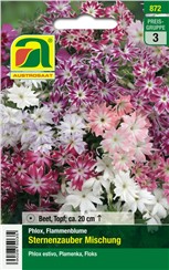 Phlox, Flammenblume "Sternenzauber Mischung":   Überreich mit zarten, pastellfarbenen Blüten besetzt.