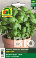 Basilikum BIO "Hohes Grünes":   Ein hoch wachsendes Basilikum (45 - 60 cm) mit großem Blatt, das sich auch f