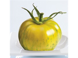 Tomate "Tiverta F1":   Dekorative, gelbe Tomate mit grünen Streifen. Durchschnittliches Fruchtgewic
