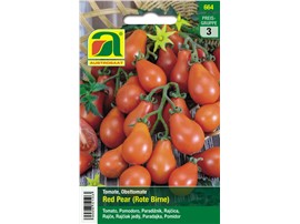 Tomate "Red Pear (Rote Birne)":   Eine ertragreiche Sorte mit birnenförmigen, ca. 3,5 cm langen Früchten.