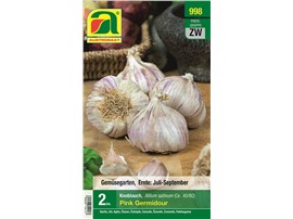Pflanzknoblauch "Pink Germadour"