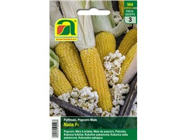 Popcorn-Mais "Nana F1":   Eignet sich ideal zur Herstellung von Popcorn. Die Pflanzen sind standfest u