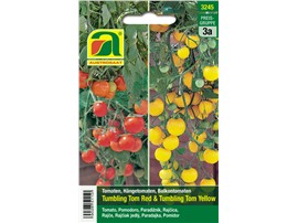 Tomate "Tumbling Tom Red & Yellow":   Zwei Hängetomatensorten in einer Packung (getrennt verpackt.) Pflanzenlänge 