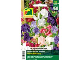 Duftwicke "Liliput Mischung":   Reichblühend, wegen der großen Blüten auch gut für Schnitt geeignet.