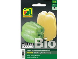 Paprika BIO "WE 880 und Gelber Block":   Je eine Sorte mit wachsgelben Früchten (hellrot abreifend), und eine mit hel