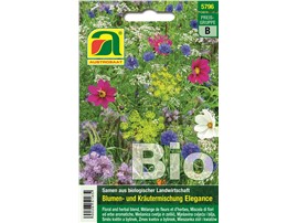 Blumen- und Kräutermischung BIO "Elegance":   Die enthaltenen Arten bieten Insekten eine langanhaltende Nahrungquelle bis 