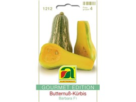 Butternuß-Kürbis "Barbara F1":   Butternuß-Kürbis mit ca. 25 cm langen, 1,5-2 kg schweren, birnenförmigen Frü
