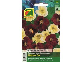 Kapuzinerkresse "Night and Day":   Dekorative Mischung mit cremegelben und dunkelroten Blüten. Nicht rankende P