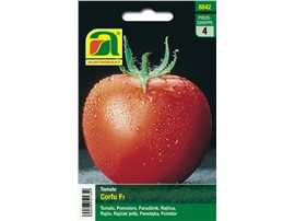 Tomate "Corfu F1":   Reich- und frühtragende Sorte mit dunkelrotem, mittelgroßen Früchten.