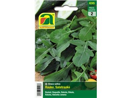 Rauke, Salatrauke:   Eine einjährige, schnellwachsende Rauke (Rucola) mit großen Blättern und int