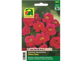 Kapuzinerkresse "Cherry Rose":   Buschige, nicht rankende Pflanzen mit einfachen und halbgefüllten Blüten.