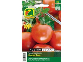 Tomate "Kremser Perle":   Eine früh reifende Buschtomate mit mittelgroßen, runden Früchten.