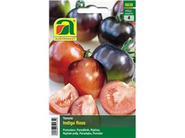 Tomate "Indigo Rose":   Die Ernte erfolgt, wenn sich die ca. 50 g schweren, dunkelblauen Früchte auf