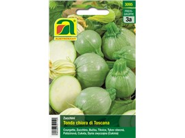 Zucchini "Tonda chiara di Toscana":   Runde, mittelgrüne Zucchinirarität mit kurzen Ranken. Ideal zum Füllen!