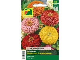 Zinnien "Gärtnerstolz Prachtmischung":   Große Blüten auf gesunden, festen Stielen.