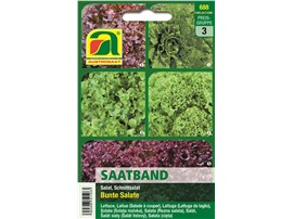 Schnittsalate "Bunte Salate" - Saatband:   Die Packung enthält folgende Sorten: 20% Grüner Eishäuptel, 20% Lollo Bionda
