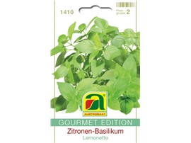Zitronen-Basilikum "Lemonette":   Basilikum mit intensivem Zitronen-Aroma. Höhe ca. 25-30 cm, durch den kompak