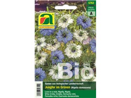 Jungfer im Grünen BIO "Blau & Weiß":   Eine einjährige Sommerblume mit blauen und weißen Blüten und dekorativen Sam
