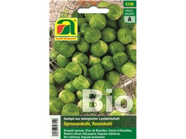 Rosen-/Sprossenkohl BIO "Groninger":   Bewährte, ertragreiche Sorte mit zarten Röschen. Vitaminreiches Wintergemüse