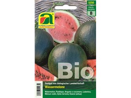 Wassermelone BIO "Sugar Baby":   Frühreifende, ertragreiche Wassermelone. Bildet 1,5-2,5 kg schwere Früchte m