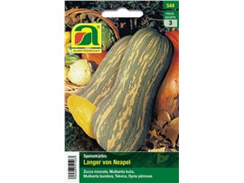 Kürbis "Langer von Neapel":   Die 15-20 cm dicken, 75-100 cm langen Früchte können Gewichte bis 10 kg erre