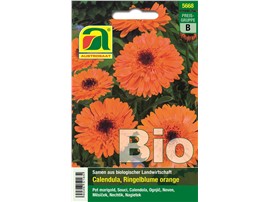 Ringelblume BIO  "Orange":   Liebt sonnige Lagen und gedeiht auf jedem guten Gartenboden. Die Blüten sind