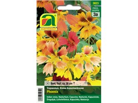 Kapuzinerkresse "Phoenix":   Attraktiv gefranste Blüten in den Farben Gelb, Orange und Creme.