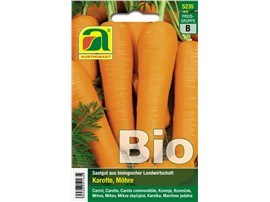 Karotten, Möhren BIO "Flakkese 2":   Leicht konische, intensiv gefärbte Möhre mit guter Lagereignung.