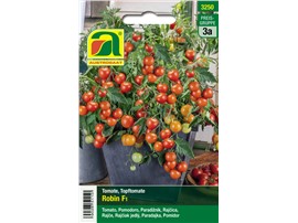 Tomate "Robin F1":   Eine Sorte mit kirschgroßen Früchten. Durch den kompakten Wuchs besonders fü