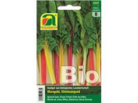 Mangold BIO:   Ein gewellter Stielmangold mit grün bis bronzefarbenen Blättern und hat durc
