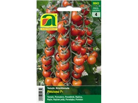 Tomate "Prezioso F1":   Die langen Rispen sind mit kirschgroßen, süß schmeckenden Früchten besetzt.