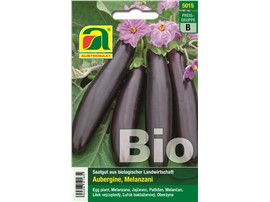 Aubergine BIO "Violetta lunga 3":   Eine frühe Sorte mit langen, schlanken, dunkelvioletten Früchten.