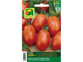 Tomate "Festas F1":   Salattomate mit Resistenz gegen Tomatenmosaikvirus, Verticillium und Fusariu