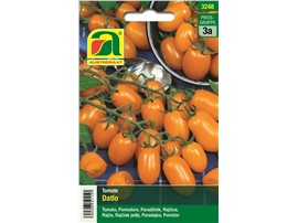 Tomate "Datlo":   Dattelförmige, gelb-orange Früchte. Durchschnittliches Fruchtgewicht ca. 15-