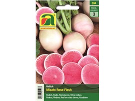Rettich "Misato Rose Flesh":   Etwa tennisballgroßer Rettich mit cremeweißer bis hellgrüner Schale und würz