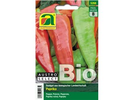 Paprika BIO "Austrocapi":   Die spitzen Früchte reifen von hellgrün auf rot ab (Roternte empfohlen) und 