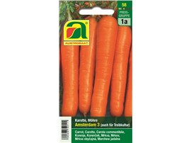 Karotten, Möhren "Amsterdam 3":   Bildet intensiv orange gefärbte Möhren, hat feine Blätter und kann auch im G
